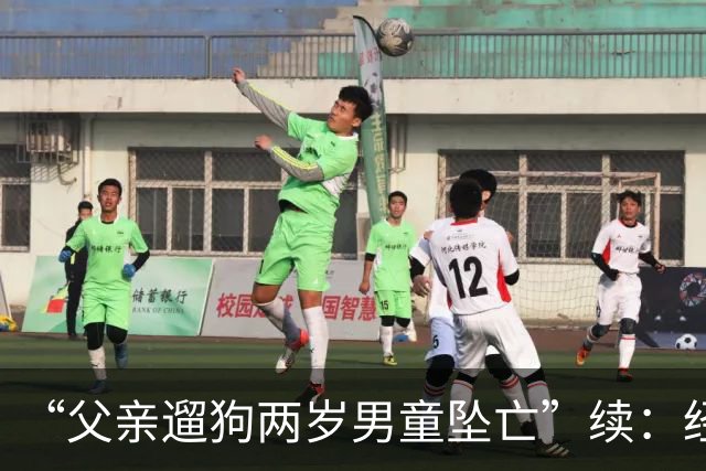 “父亲遛狗两岁男童坠亡”续：经审查没有犯罪事实，警方不予立案