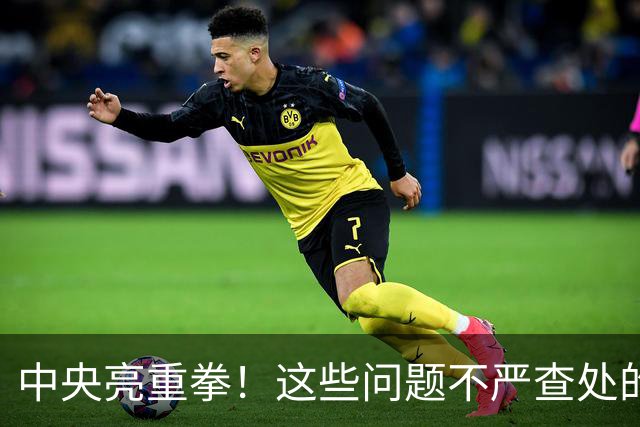 中央亮重拳！这些问题不严查处的，直接追究地方领导责任！