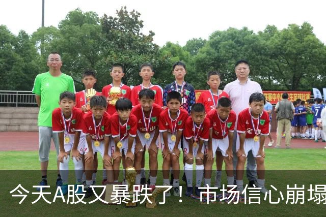 今天A股又暴跌了！市场信心崩塌，大家都想卖出……