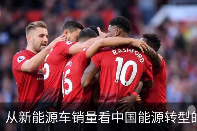 从新能源车销量看中国能源转型的世界启示
