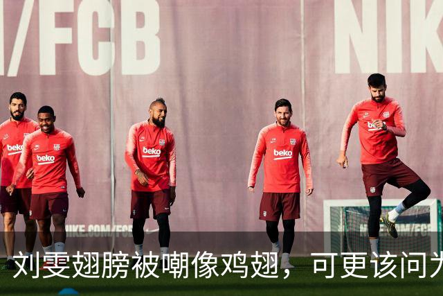 刘雯翅膀被嘲像鸡翅，可更该问为何十年仅两副？