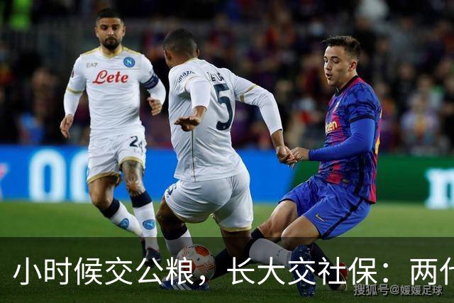 小时候交公粮，长大交社保：两代人的账，其实是一本账