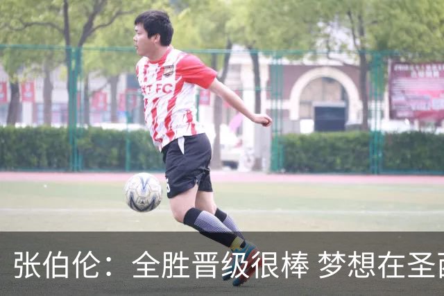 张伯伦：全胜晋级很棒 梦想在圣西罗踢欧冠