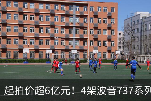 起拍价超6亿元！4架波音737系列民航客机无人报名流拍，共吸引12万余人次围观